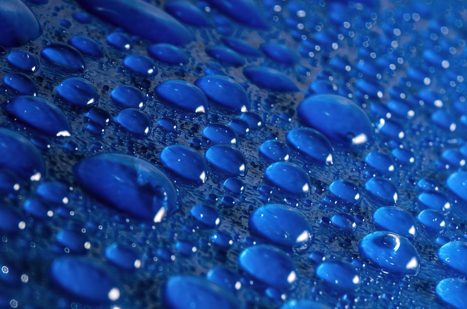 Water beading on a freshly ceramic-coated bonnet